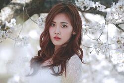 Su Yeon A.DE