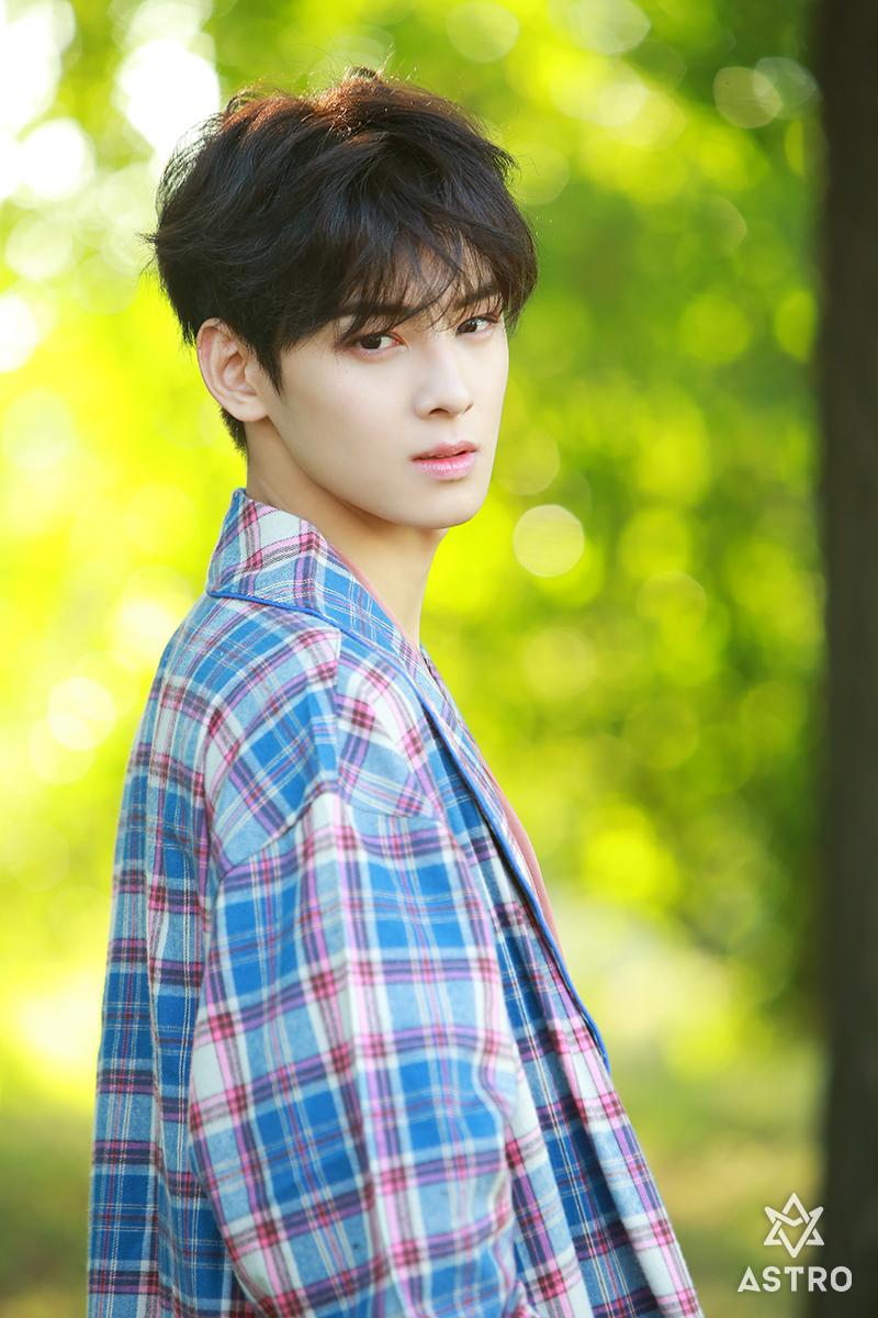 Cha Eun Woo | Wiki Drama | FANDOM powered by Wikia