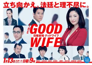 The Good Wife TBS2019 -2