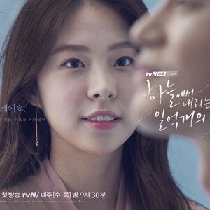 The Smile Has Left Your Eyes Wiki Drama Fandom