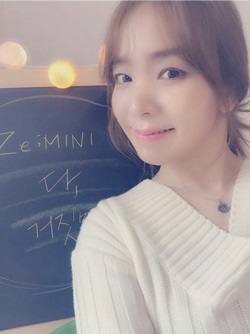Zemini