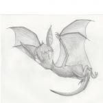 Shado Bat