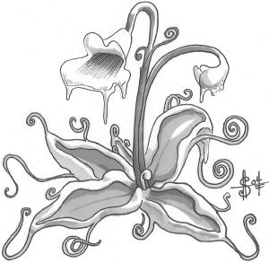 Plants, Monstrous Butterwort