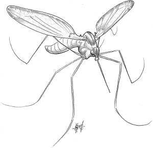 Mosquito, Monstrous