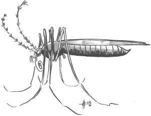 Mosquito, Monstrous, Quagmire