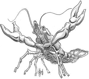 Mudbug