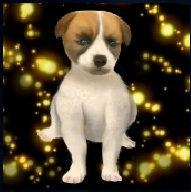 Puppy Ally