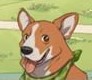 Maxwell