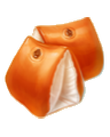 Arm Floaties Meeting Summer Item Dreamfields Wiki Fandom