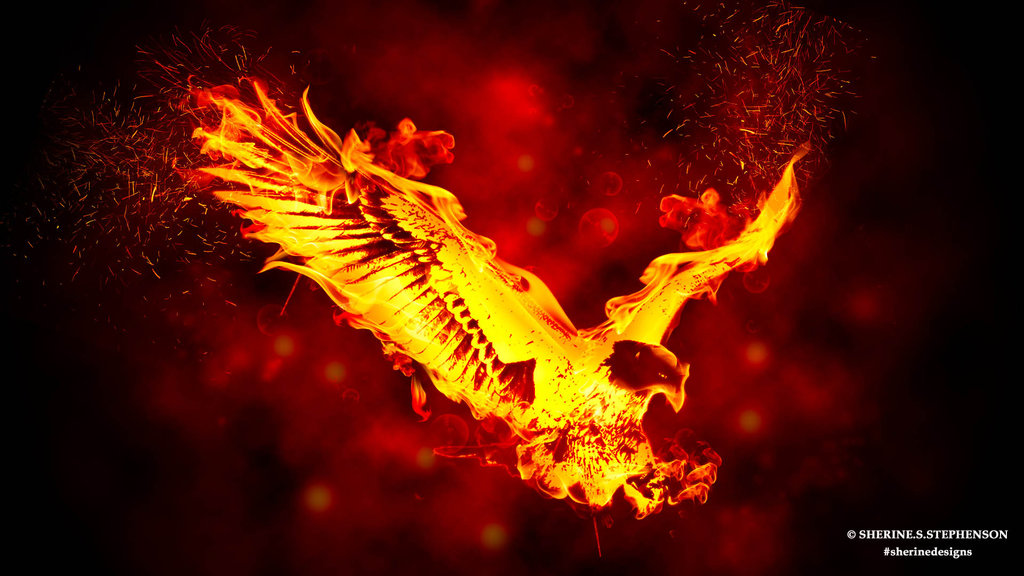 Fire Eagles | DreamingWolf's Random Wiki | Fandom