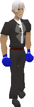 Blue Boxing Gloves