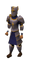 Justiciar Set Equipped