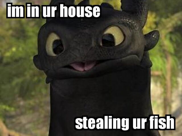 File:Lolcatb59e140464d6ec601bd2d735cbb2ac737d500d51.jpg