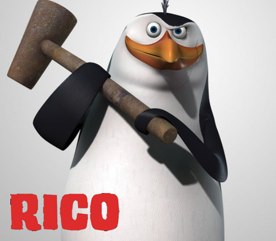 File:Ricoico.png