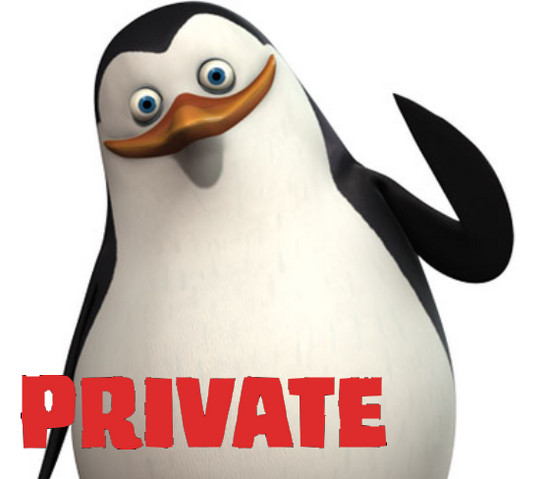File:Privateico.png