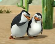 Skipper&Private