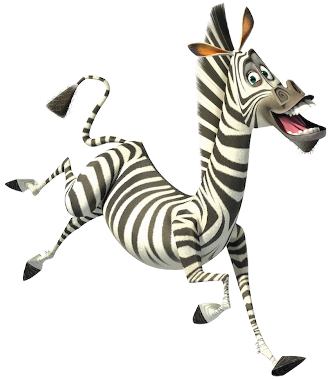 marty the zebra