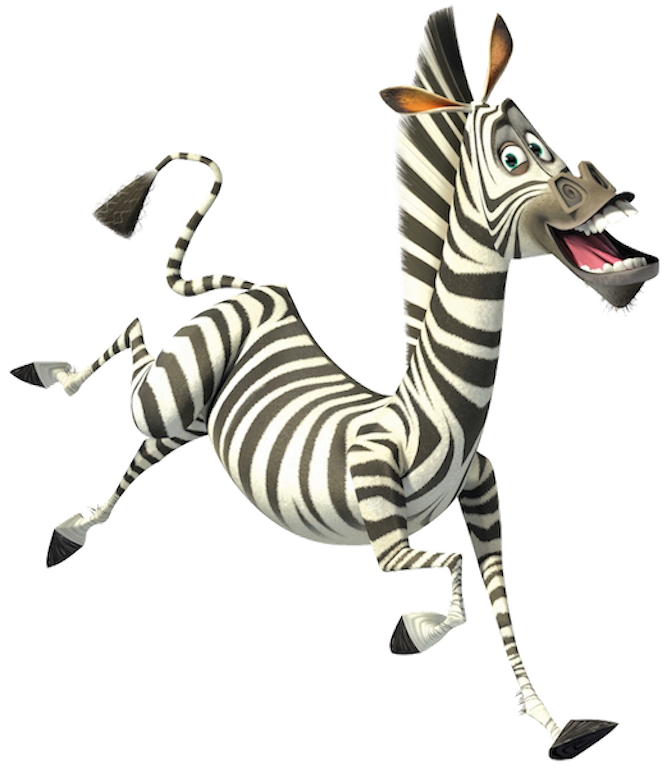 Marty Madagascar Marty Madagascar