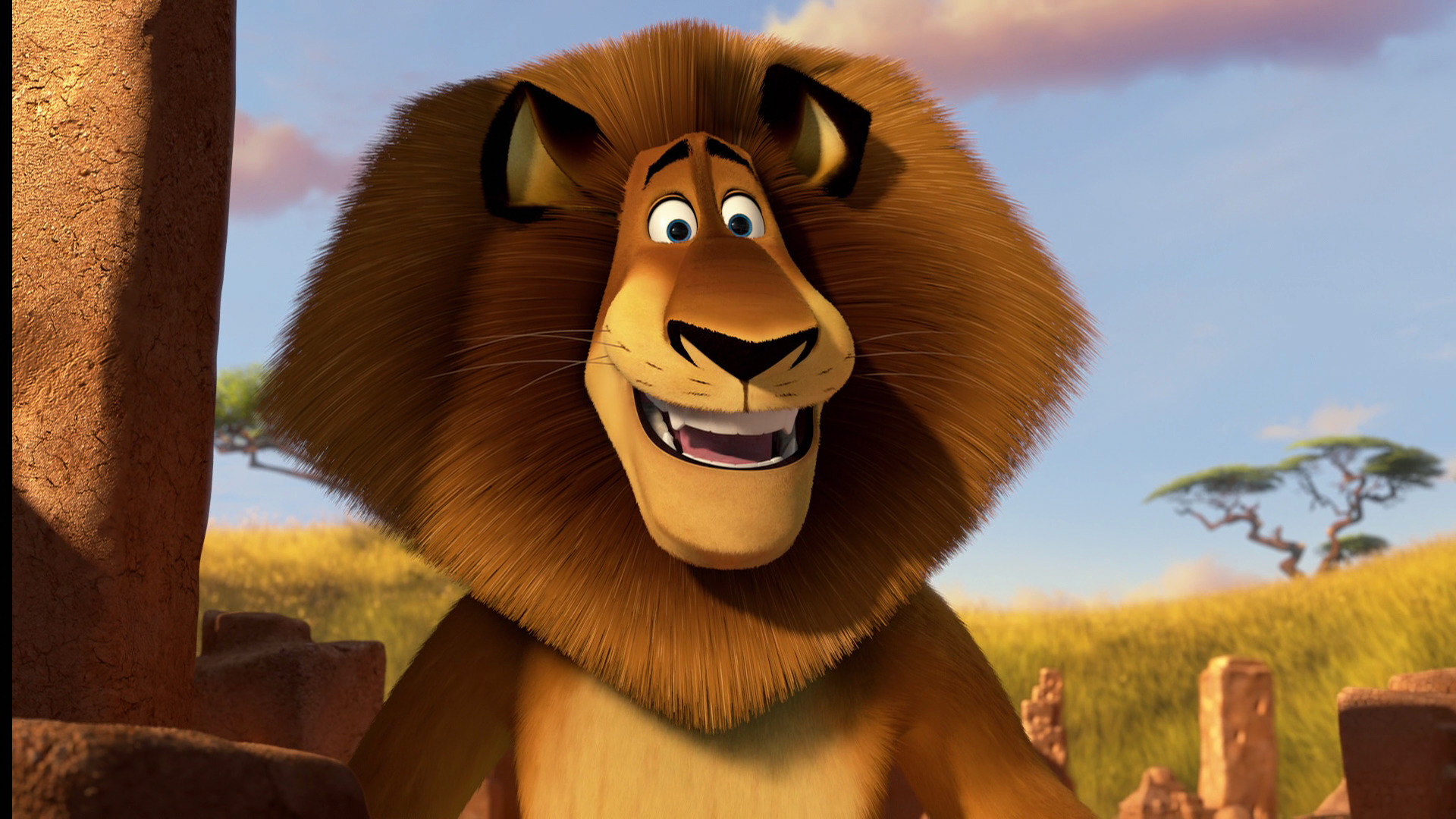 Image Madagascar3 311 Dreamworks Animation Wiki Fandom Powered By 