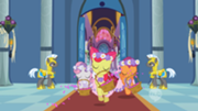 CMCs (flower fillies)
