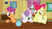CMCs (hearts and hooves day)
