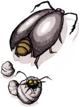 roach queen deadly rooms of death wiki fandom powered by wikia