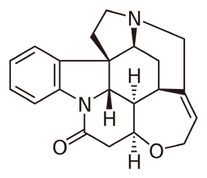 Amoxicillin tablets buy online