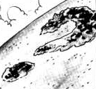 Wonder island manga
