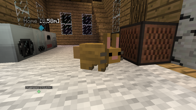 File:IzALilBunny.png