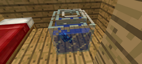 Fish in bowl