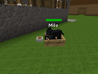 Kitty Bed Mo Creatures Wiki Fandom