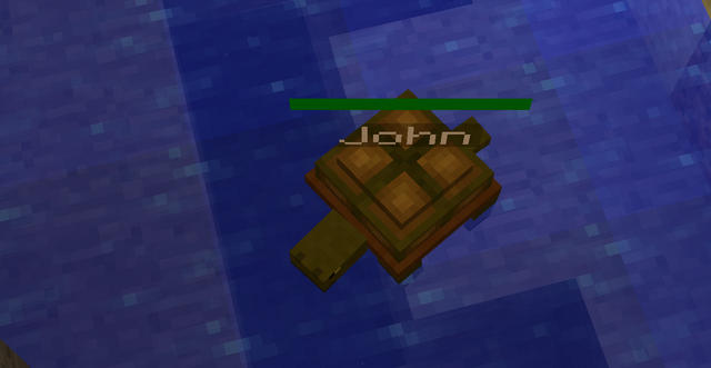 File:John the turtle.png