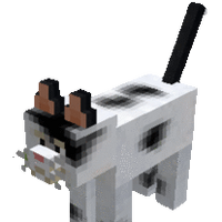 Kitty Mo Creatures Wiki Fandom