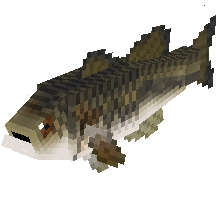 fish fish