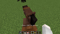 Quebra de cavalo