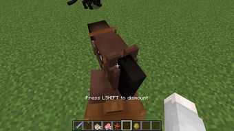 Minecraft Cool Names For Your Undead Horse