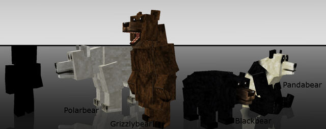 File:MCBears.jpg
