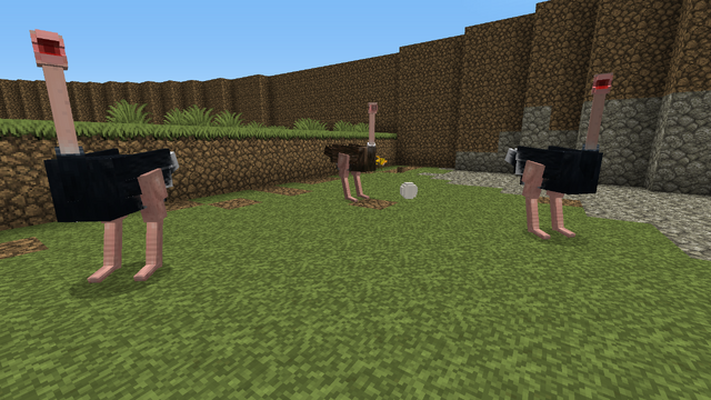 File:Ostriches and egg.png