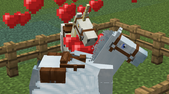Horse Mo Creatures Wiki Fandom