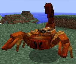 Scorpion