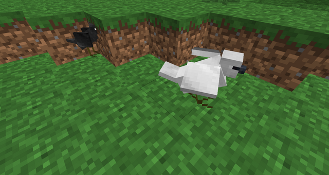 File:Crow and dove.png