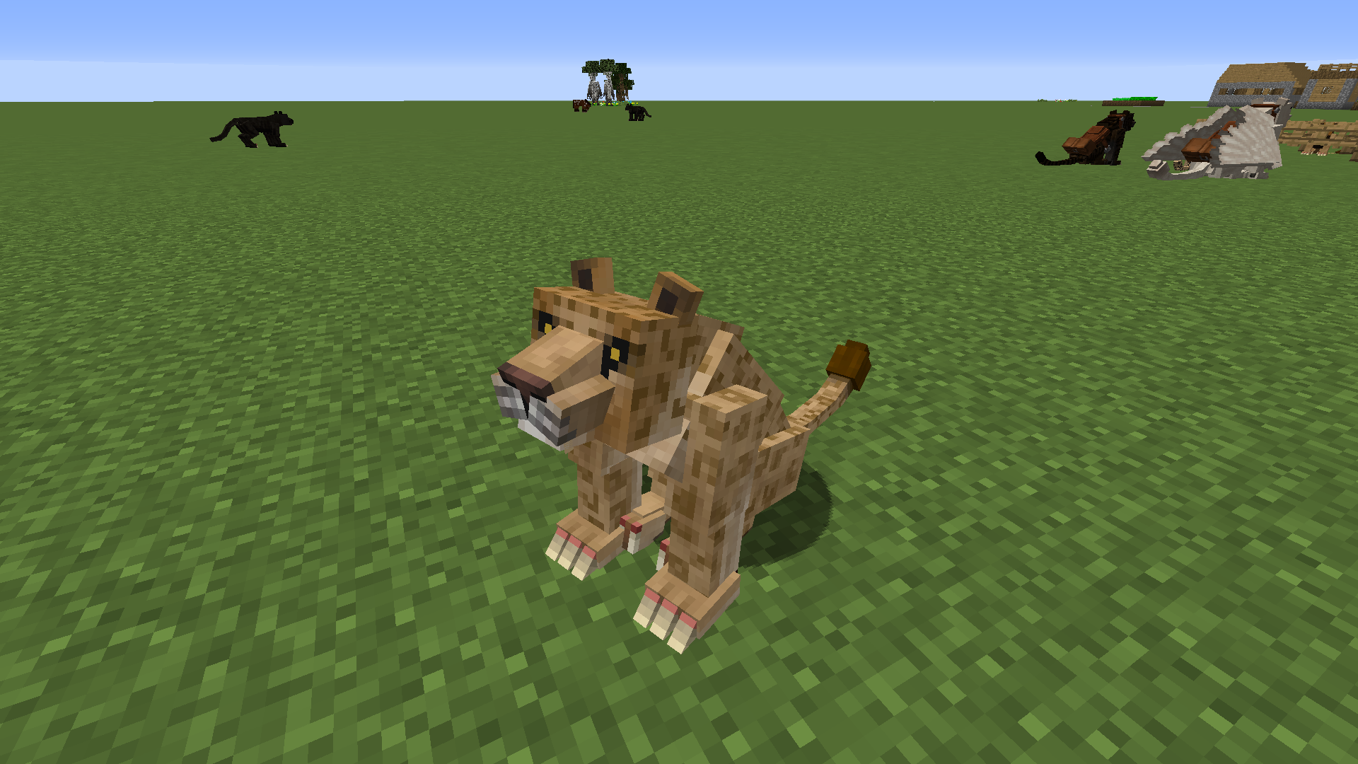 Mo Creatures Wiki Big Cats Mo Creatures Wiki Big Cats