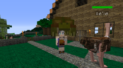 Turtle on player's head