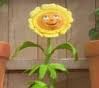 Weedy1