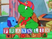 Franklin turtle