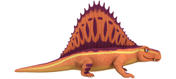dimetrodon is a dinosaur