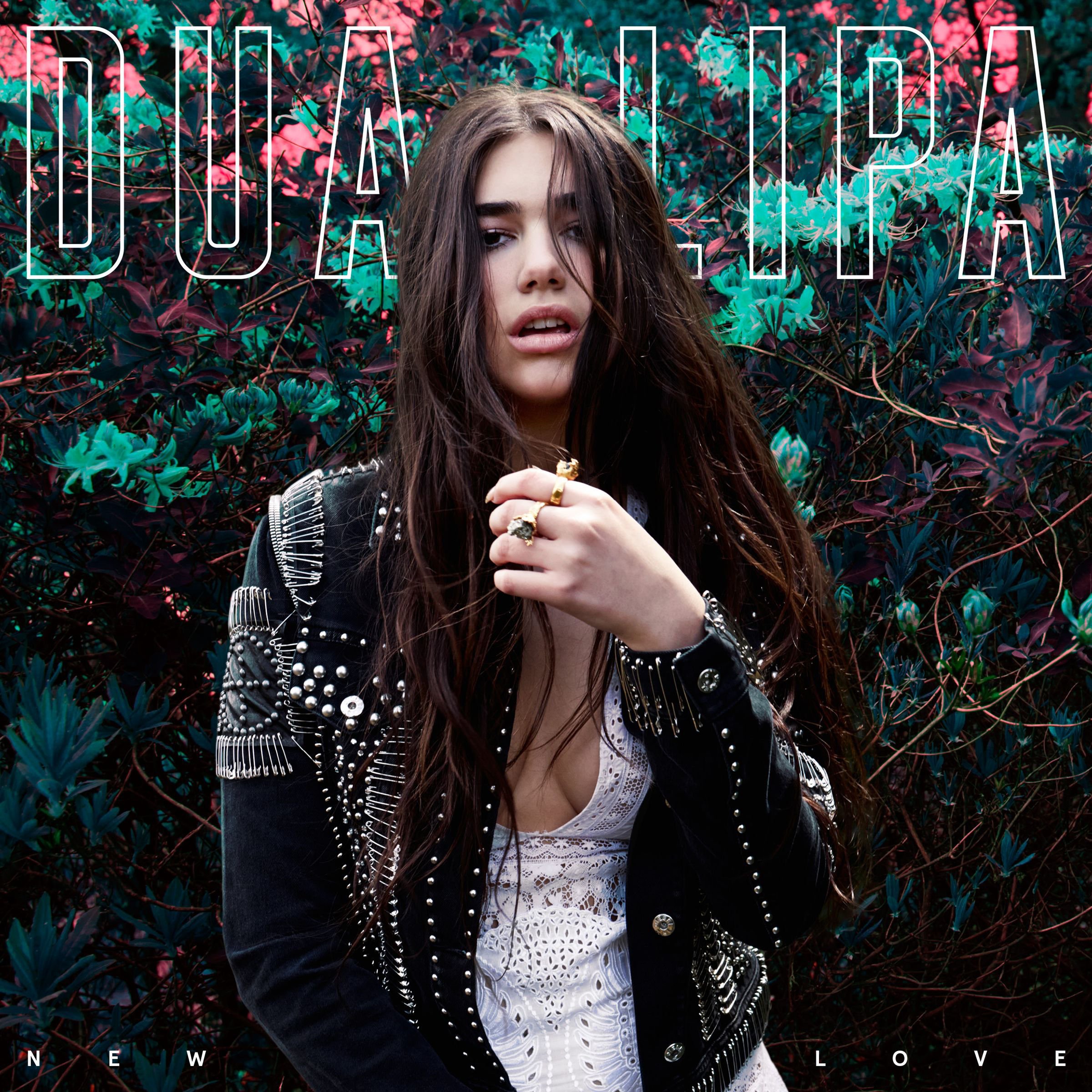 New Love (song) Dua Lipa Wikia Fandom