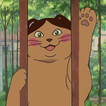 Get The Cat Returns Dubbing Wikia Fandom For iPhone Free Get Wallpaper The Cat Returns Dubbing Wikia Fandom For iPhone