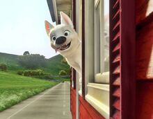 Bolt-disneyscreencaps.com-7615