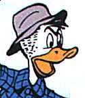 Wastel Duck1